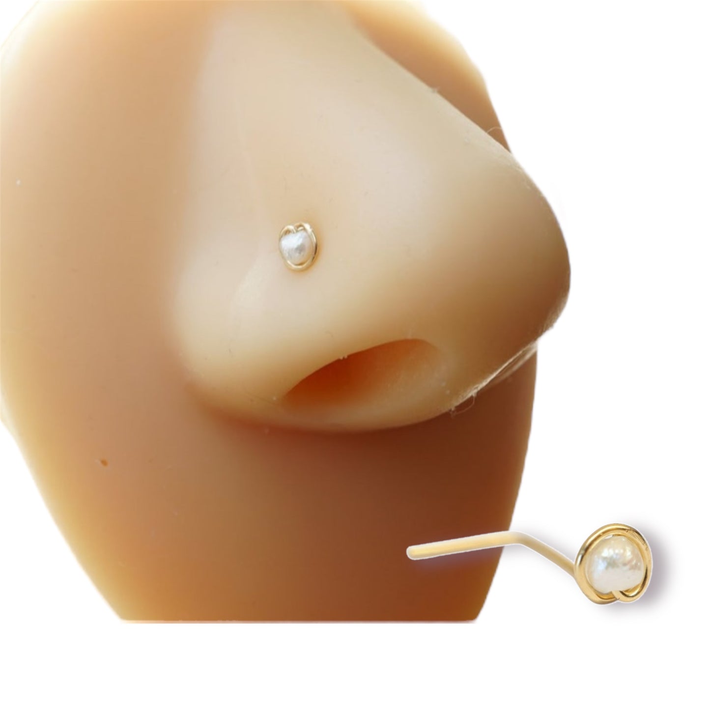 Glamorous Stud